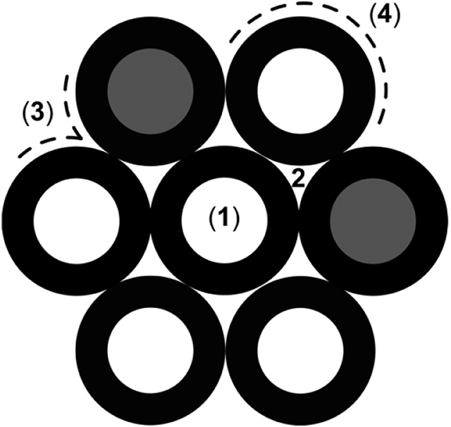 Fig4.png
